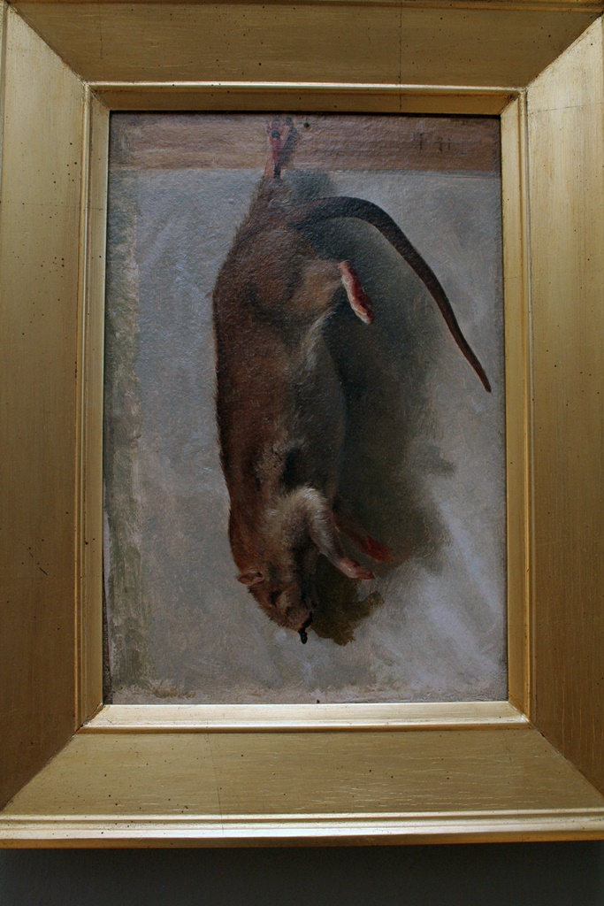 Study of a Dead Rat
